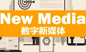 外链怎么发布?一箭双雕,外部链接策略