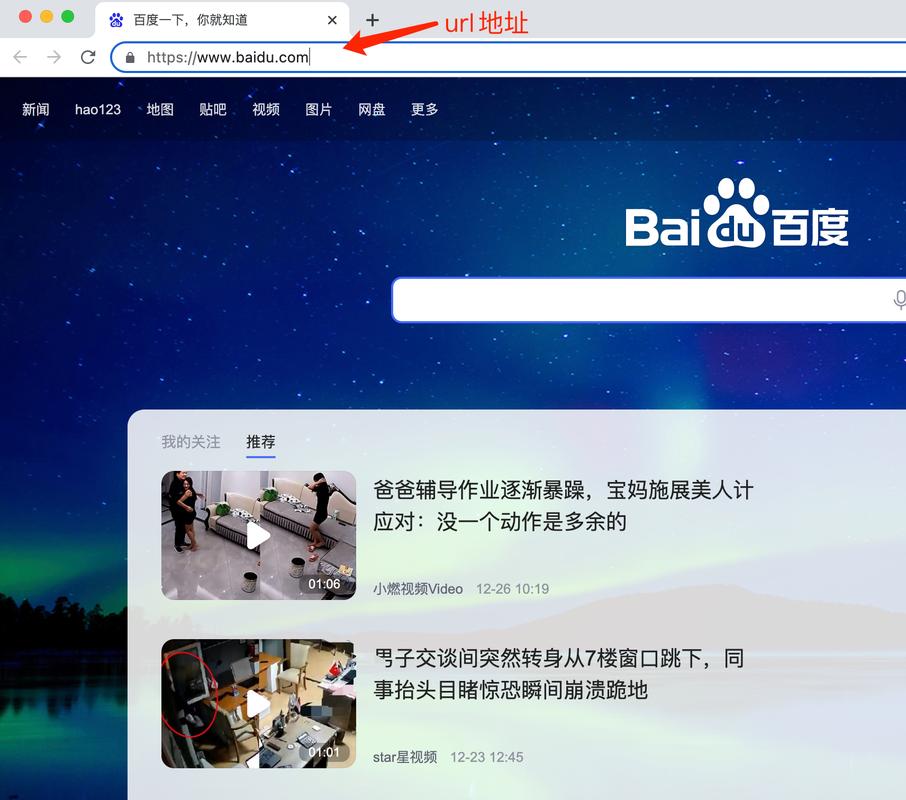 网站url