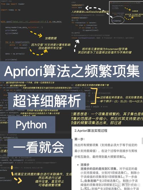 谷歌SEO猫头鹰新算法来了，更新了哪些内容呢