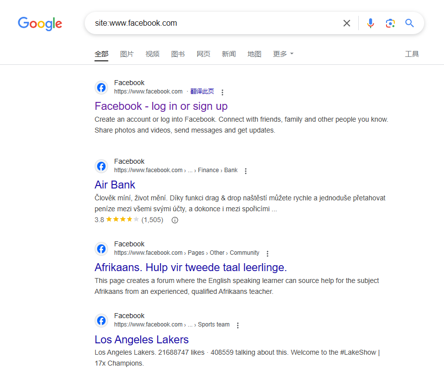 Google-SEO搜索技巧分享：精准获取国外客户信息