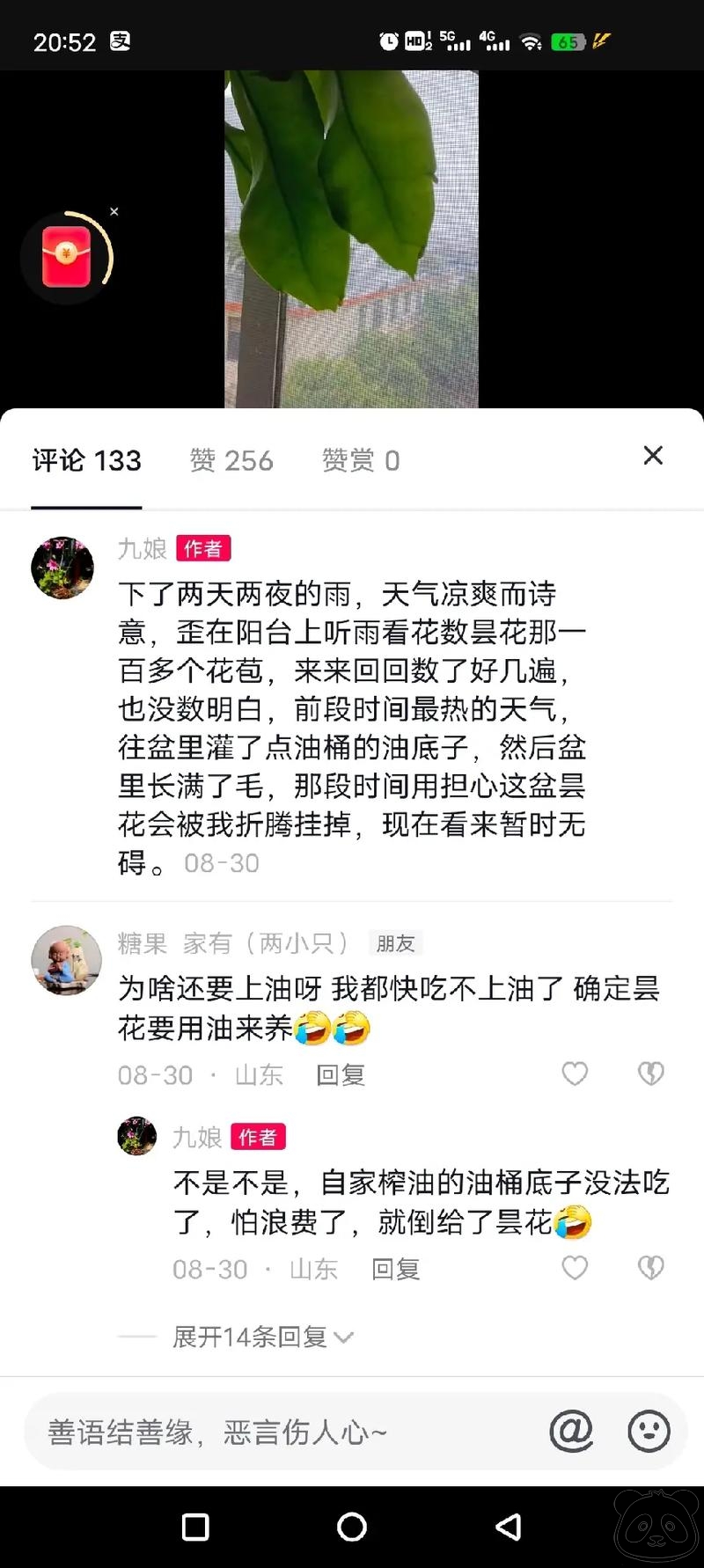 图文热搜词创作